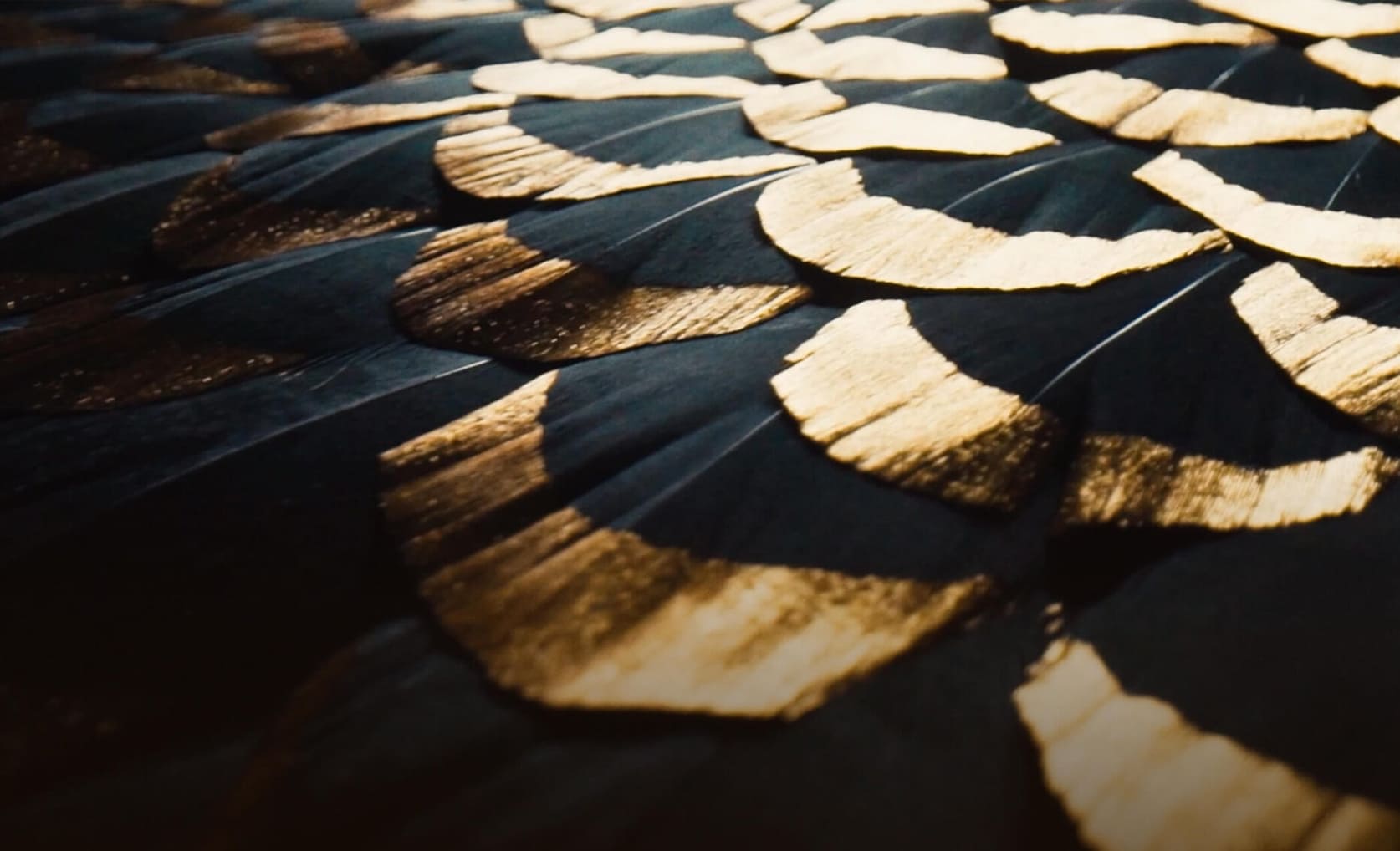Lemarié – plumassier d’art – Paris – haute couture Maison Lemarié, plumassier parisien, spécialiste des plumes et fleurs pour la haute couture