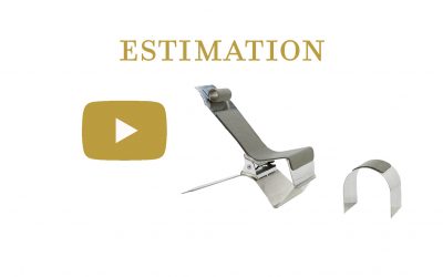 Chaise longue de Yonel Lebovici : estimation, prix et valeur